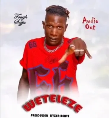 Weteleze by Tough Sojja